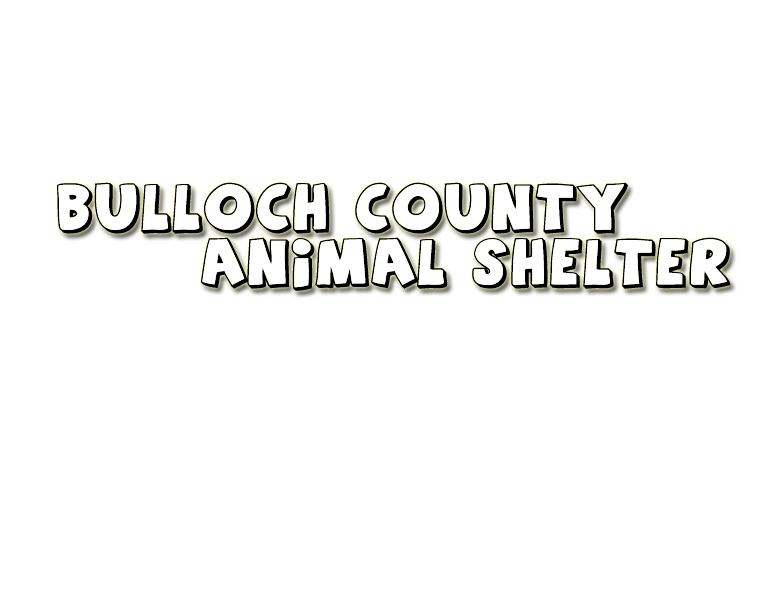Bulloch County Animal Shelter
