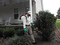 photos-4.jpg
