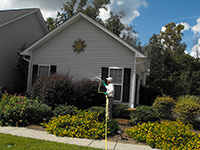 photos-9.jpg